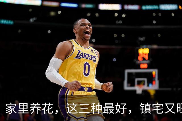 家里养花，这三种最好，镇宅又旺财，家家户户都能养